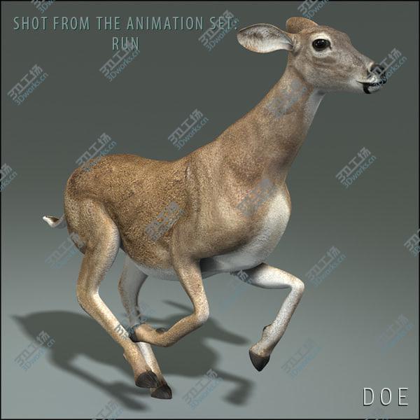 images/goods_img/20210312/Doe (ANIMATED)/5.jpg